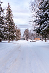 Obraz premium Beautiful winter landscape, country road and trees covered with snow. Winter nature background. Vernithcal photo of nature