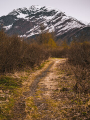 Fototapeta na wymiar Hiking around Valdez, Alaska