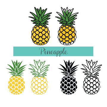 Pineapple fruit, cartoon, flat illustration, outline, color and black. Pineapples set
