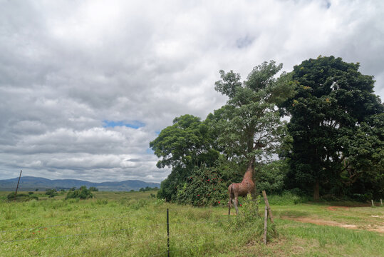 S&uuml;dafrika - Provinz KwaZulu-Natal - allgemein