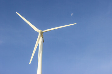 Wonderful wind turbines for renewable energy with the moon over blue sky in spain