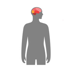 Human brain concept