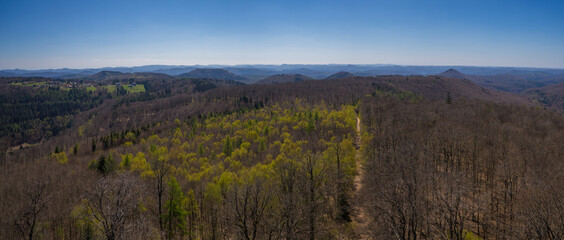 The Palatinate Forest in Germany as seen from the Luitpold Tower.