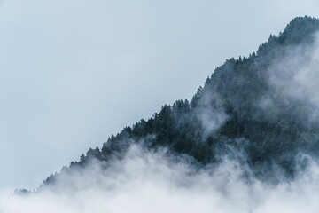 Misty foggy mountain landscape with fir forest trees and copyspace in vintage retro hipster style.