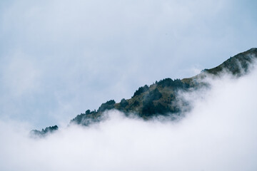 Misty foggy mountain landscape with copyspace in gloomy morning atmosphere. Dark tone, bad weather and cloudy day.