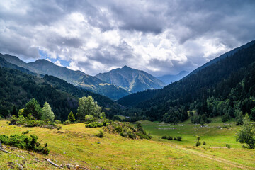 Fototapeta na wymiar Beautiful mountainous landscape in an alpine valley with trees and green mountains. Outdoor summer vacation, nature and mountaineering concept. Pyrenees, Catalonia, Spain.