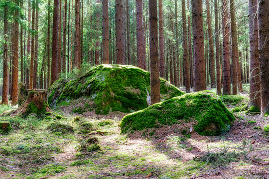 Mystic Idyllic Landscape in Hochmoor near Heidenreichstein, Northern Lower Austria