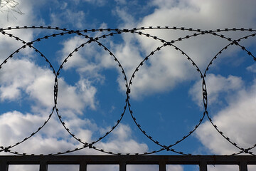 barbed wire on the fence