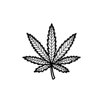 hemp leaf doodle icon, vector color line illustration
