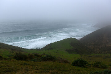 foggy california coast with green hills and crashing waves