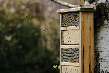 wild bees flying into insect hotel
