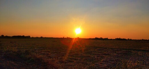  Silhouettes Of Trees In Sunset, Silhouettes Of Grass And Plants. Trees Sunset. People Silhouettes during sunset.  People Silhouettes In Sunset, Silhouettes Of Person Walking. People Silhouette. 