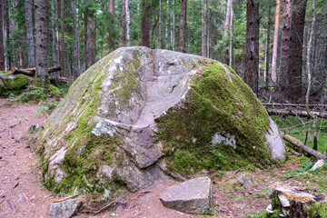 large stones in wild forest with moss