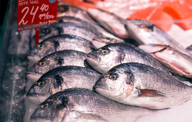 Raw fresh dorado fish and salmon fillets on ice cubes on a fish market store