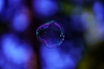 soap bubbles flying on blur background