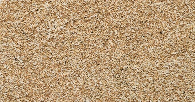 Closeup amaranth groats rotation, background, texture. Slow motion. Food background.