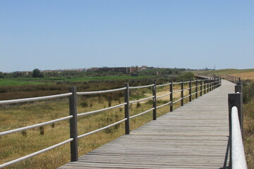 Fototapeta premium boardwalk in the dunes in Algarve , Southern Portugal.