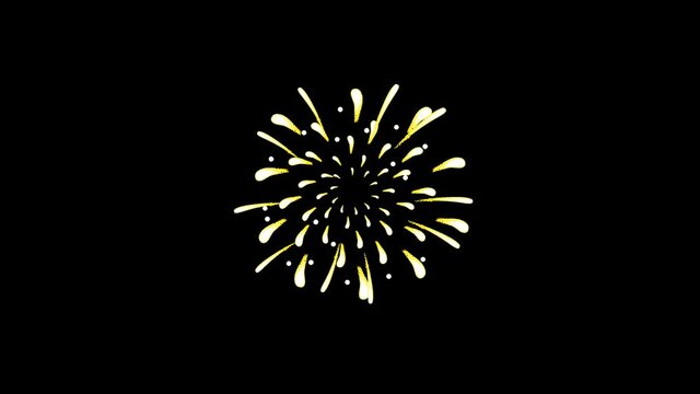 ゆっくり爆発する花火の動画
