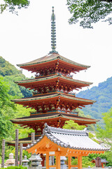 Obraz premium 長谷寺