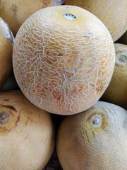 melons in the market