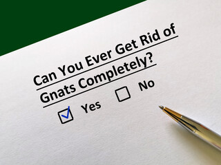 Obraz premium Questionnaire about insects