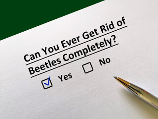 Questionnaire about insects
