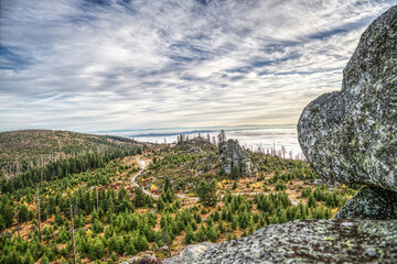 Foggy Panorama from Mount Dreisessel with Hiking Trail through Young Forest