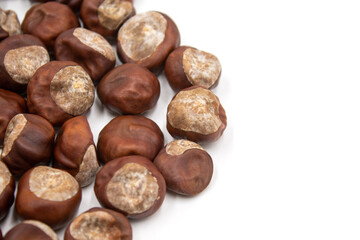 Isolated photos of horse chestnut seeds on a white background