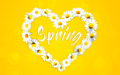 Heart shape made from white chamomile daisy flowers. Alternative medicine.