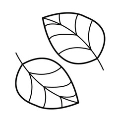 Naklejka premium two black and white tree leaves. two birch leaves