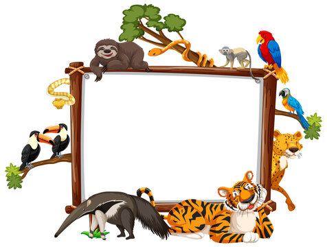 Empty banner with wild animals on white background