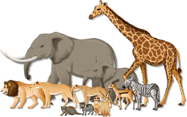 Group of wild African animals on white background