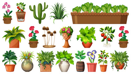 Fototapeta premium Set of different plants in pots isolated on white background
