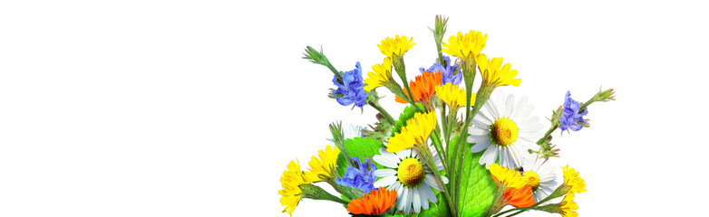 Flowers and herbs. Spring creative floral composition.