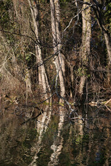 Beautiful views of Saint Naum area in Lake Ohrid, Macedonia.