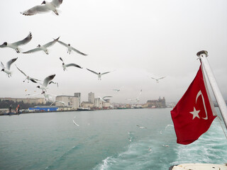 ФЛАГ ТУРЦИИ ЧАЙКИ