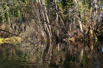 Beautiful views of Saint Naum area in Lake Ohrid, Macedonia.
