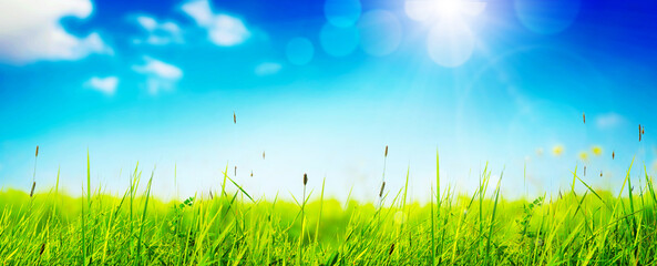 Fototapeta premium Spring and summer panorama with copy space.