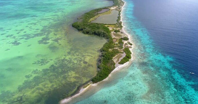aerial drone view, TILD down Cote barrier reef  ,Los Roques venezuela,  Fantastic, landscape in paradise island Caribbean Sea with blue water and Green mangrove
