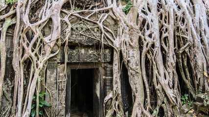 old house in the woods