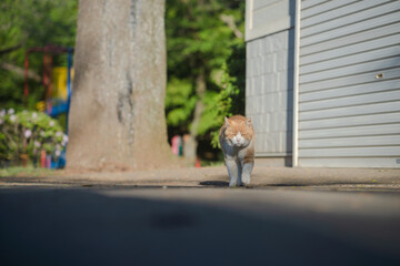 朝陽が眩しくて