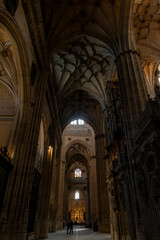 CATEDRAL NUEVA DE SALAMANCA ESPA&Ntilde;A DETALLES 2021