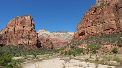 Fototapeta premium Zion is Beautiful 