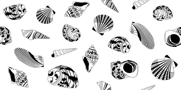 Seamless pattern with doodle-style shells. Black and white illustration of shells. Set of insulated shells