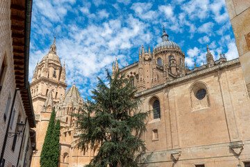 Fototapeta premium SALAMANCA DESDE HUERTO DE CALIXTO Y MELIBEA VISTAS DETALLES 2021