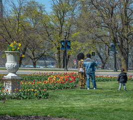 Fototapeta premium A black family enjoys the park on a spring day. The father is taking a photo with his phone. All are facing away from the camera.