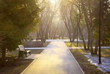 Morning in the spring park. The path of the park, lying among the birches and firs in the rays of the morning sun, the last drifts of undisturbed snow. Novosibirsk, Siberia, Russia