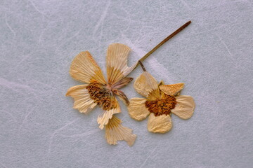 Marvelous world with colors of love and passion. work with colors to describe love, passion, art, happiness, amore, state of mind,  design...