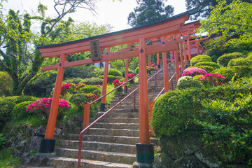 神社の鳥居