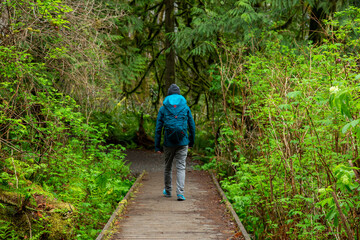 Exploring trails on Vancouver Island, Self Portraits